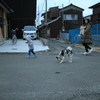 散歩