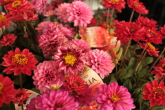 @2018-04-22 @2018-04-22