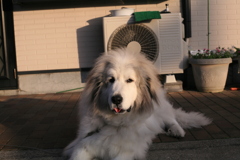 ココさん＠2019-02-08