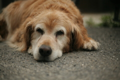 みゅうちゃん＠北条水軍ユースホステル