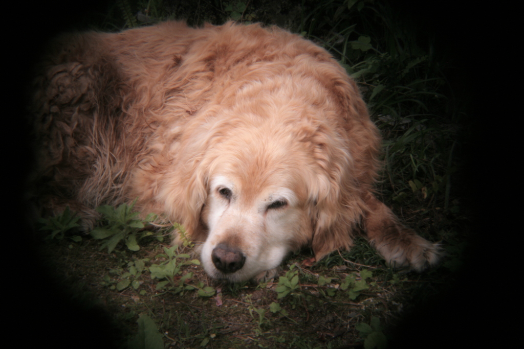 ホルガトイレンズにて