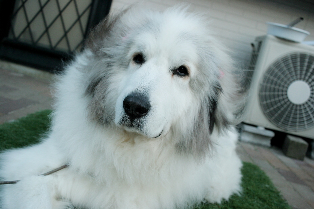 女子力を出そうと斜めに写してみる