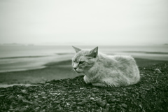 ＠2018-05-28