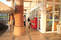 741円で落札のシグマレンズにて