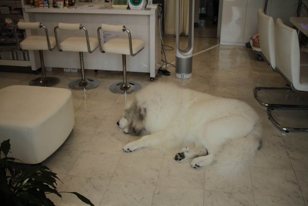 ピーカン不許可!(^^)!