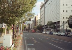 書道用の筆でスキャン前に埃払ったらきれいに取り込める