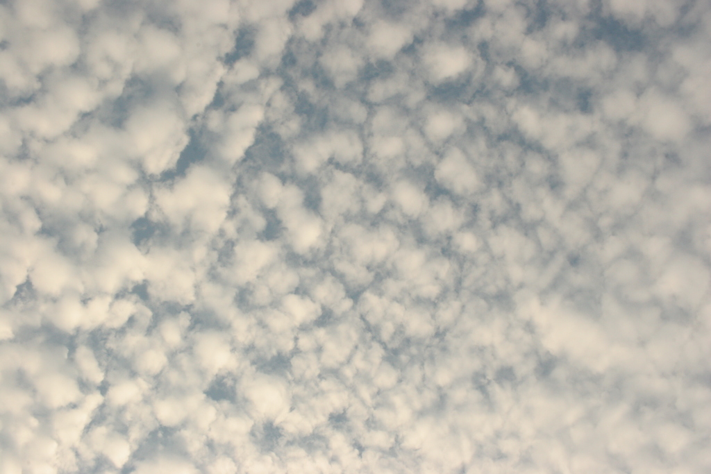 地震雲じゃないですよ!(^^)!