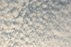 地震雲じゃないですよ!(^^)!