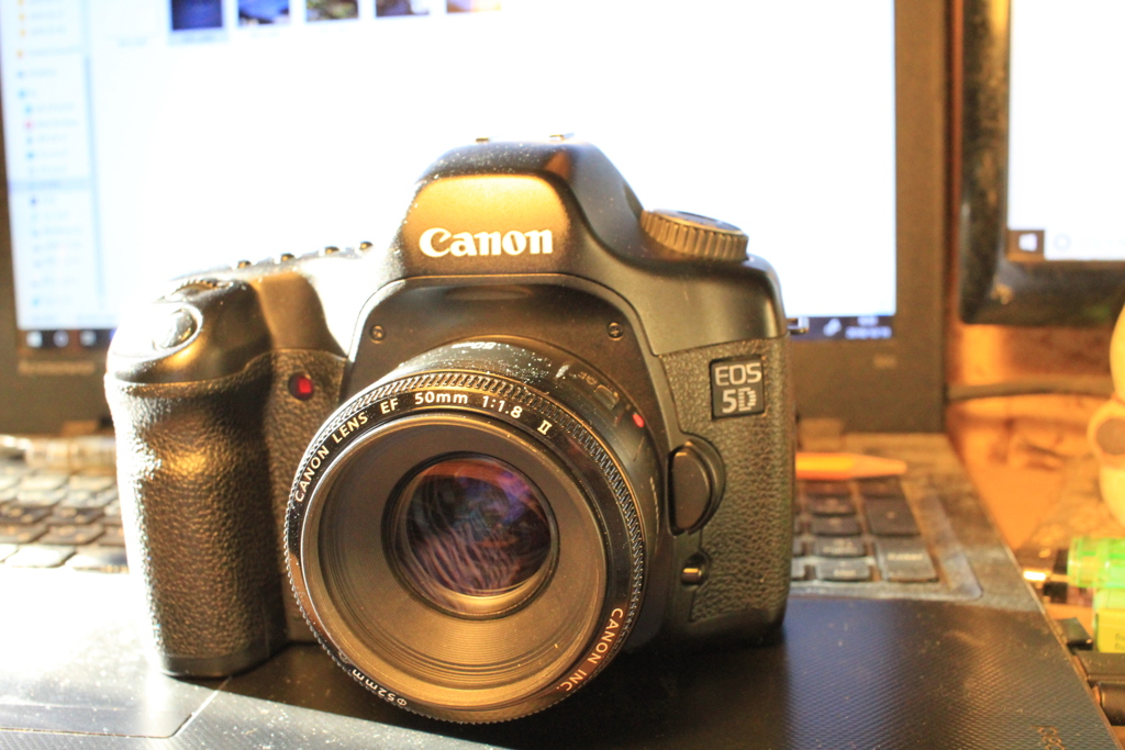 新たにヤフオクで5Dゲッツ!(^^)!
