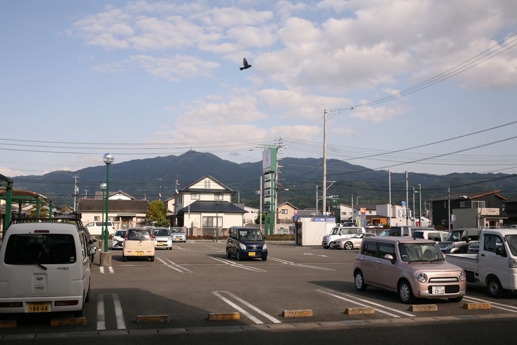 今日も平和な一日