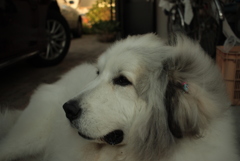 今日もいつも通り