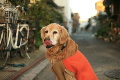 お宿番してる営業本部長みゅうちゃん