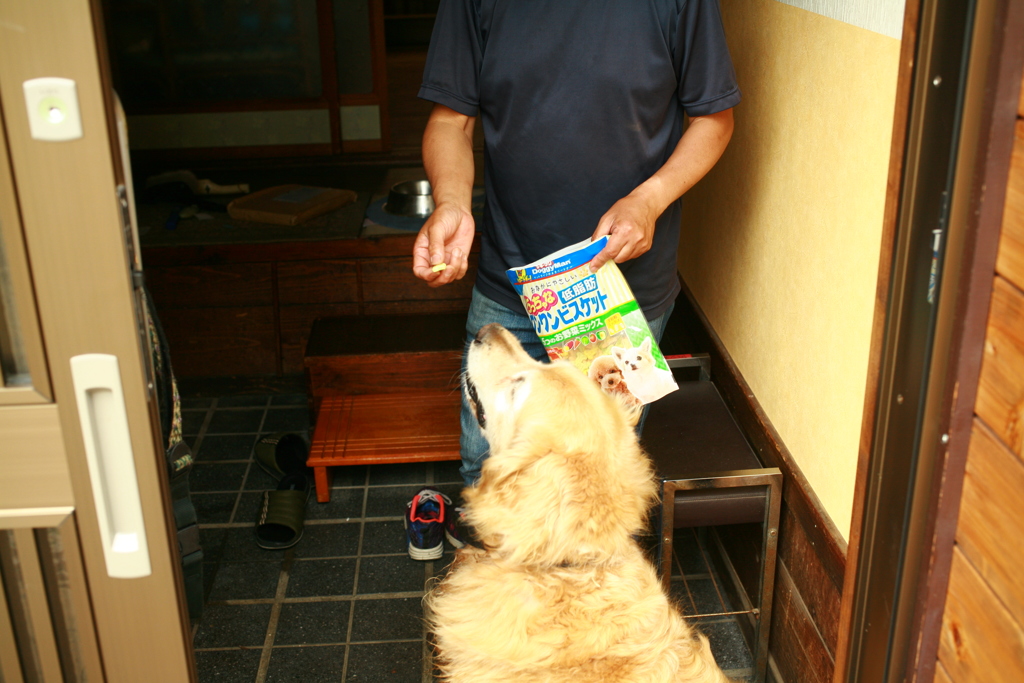 おやつをもらうみゅうちゃん