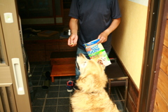 おやつをもらうみゅうちゃん