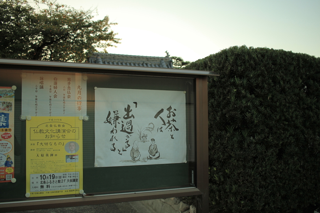 お寺のありがたいお言葉