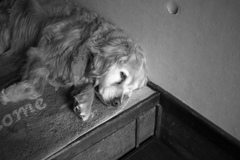 みゅうちゃん＠2019-05-09