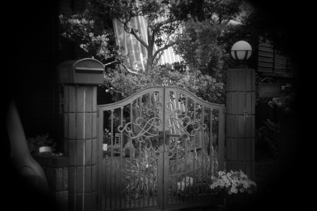 shot by Holga toy lens