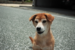 みゅうちゃんを連れてモモちゃんのところへ行く