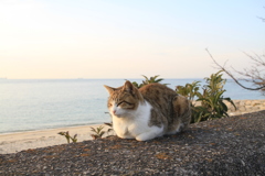 @2018-02-09 けっこうあったかい