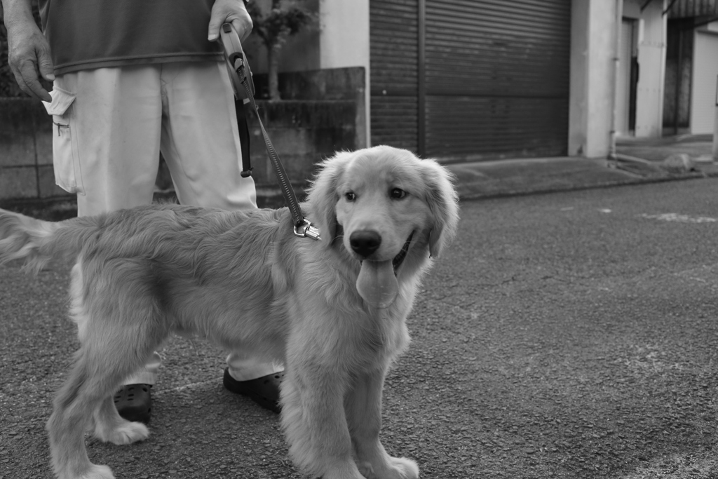 ＠2021‐07‐11