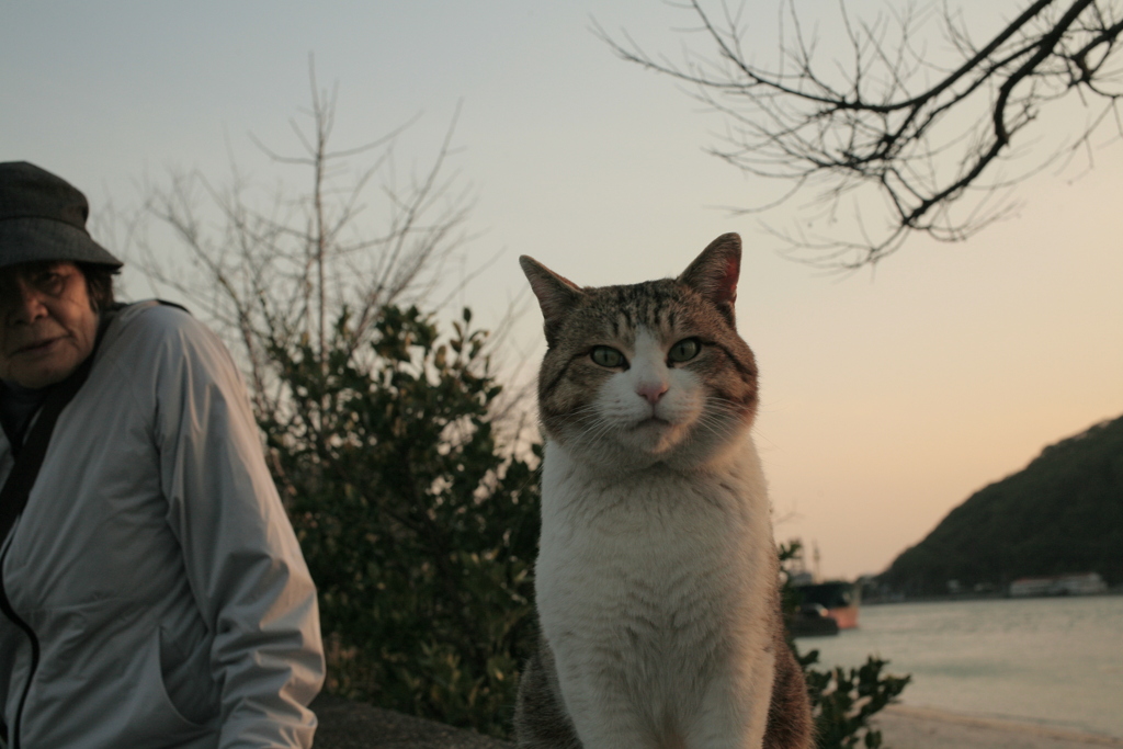トム君と横山さん