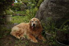 まったりしてるみゅうちゃん