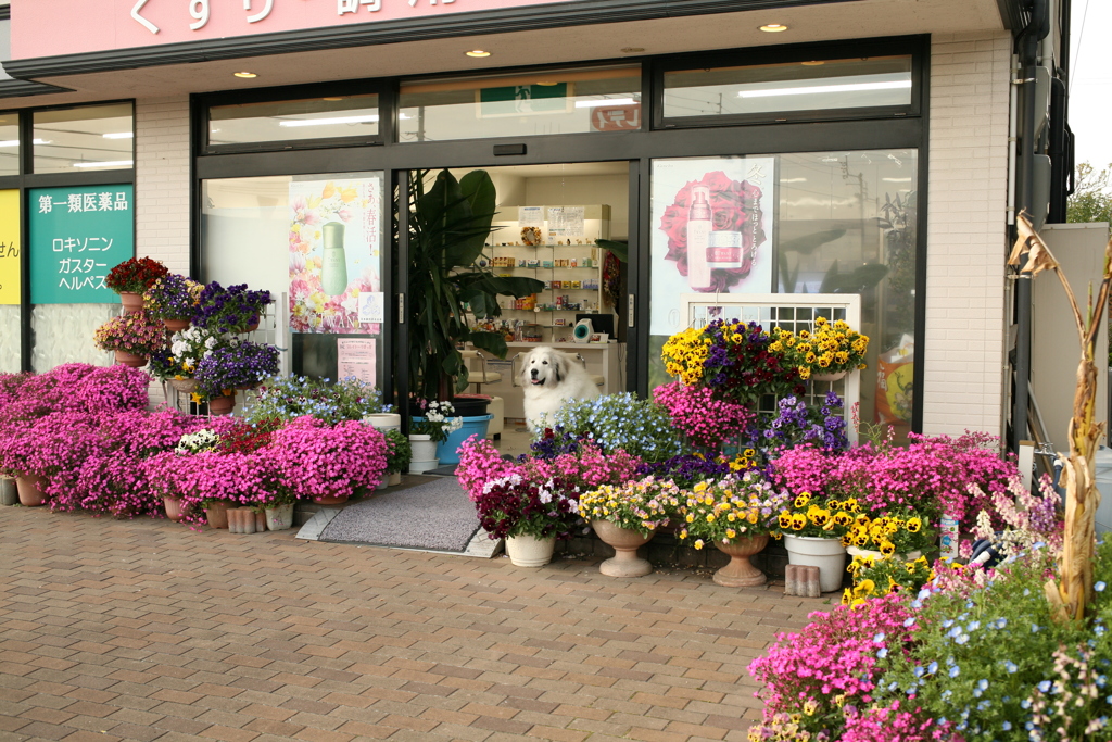 ＠2019-04-16　ニューレンズゲッツ