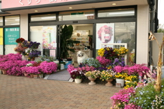 ＠2019-04-16　ニューレンズゲッツ