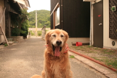 みゅうちゃん＠北条水軍ユースホステル