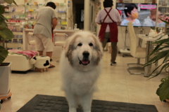 ＠2021‐09‐13