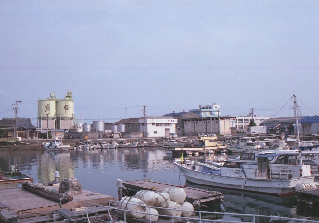 フィルムカメラEos650にて