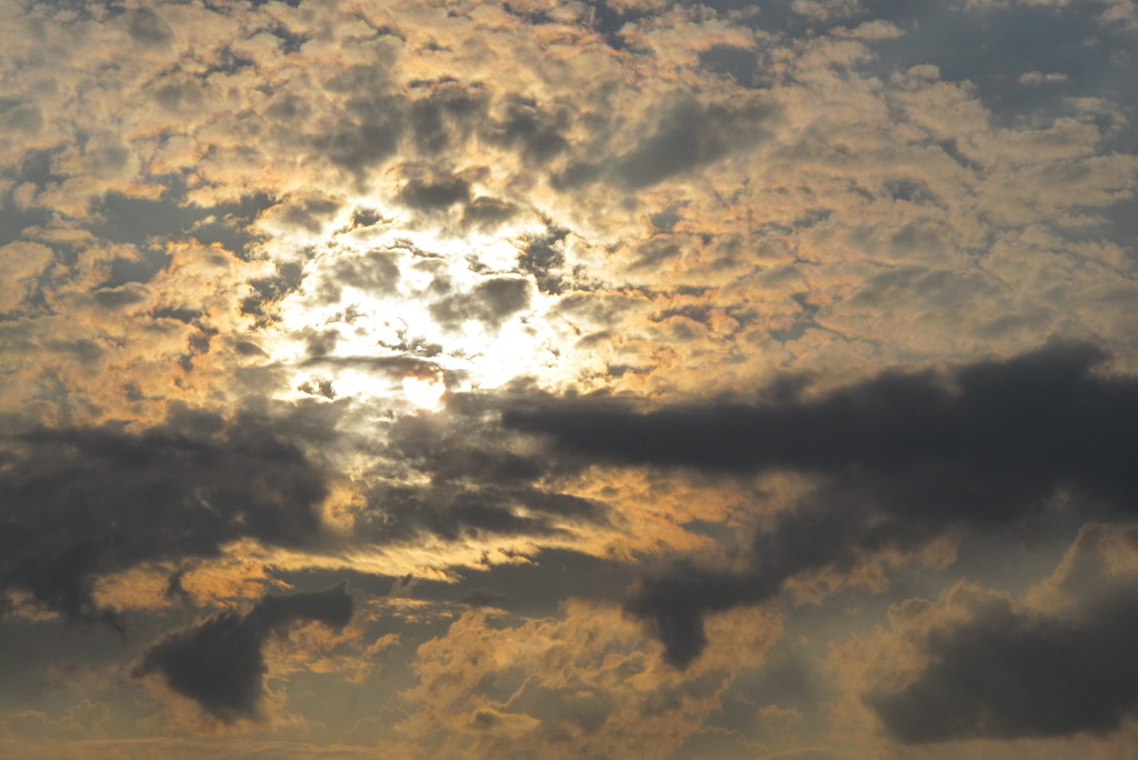 真珠貝みたいな空