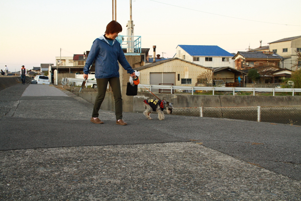 お母さんと散歩してるシュガー