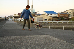 お母さんと散歩してるシュガー