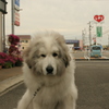 @2019-04-05