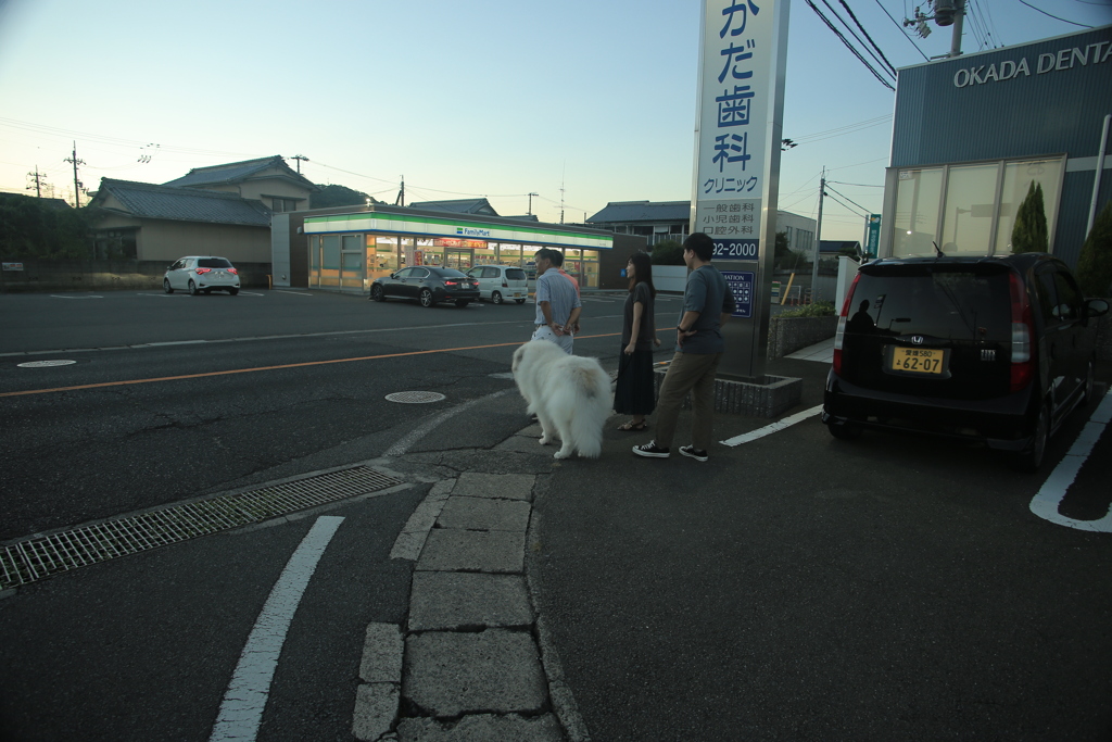 ご家族さんと散歩のココさん