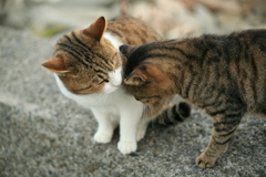 ラブラブ愛してる～男同士～