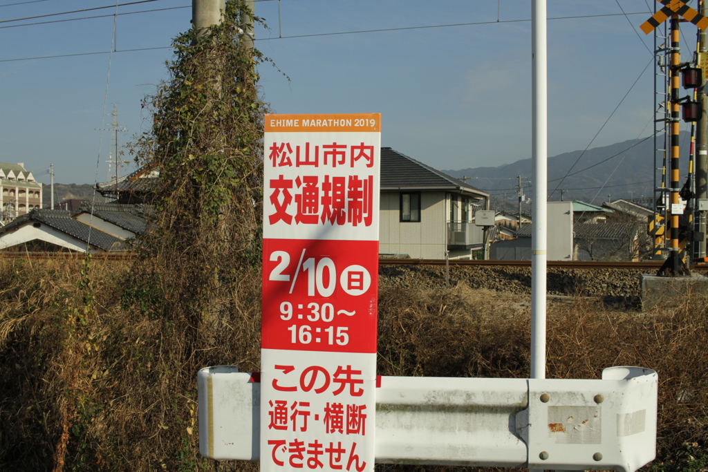 愛媛マラソン近し