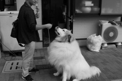 昨日のモノクロ