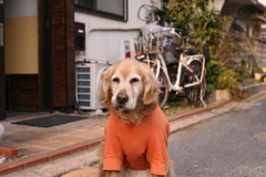 夕方も暇だな～～