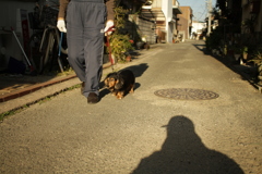 近くだとワンワン言わない