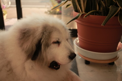 ＠2021‐02‐03