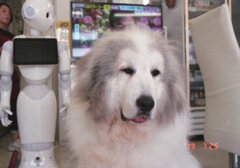 film Superia X-traにて