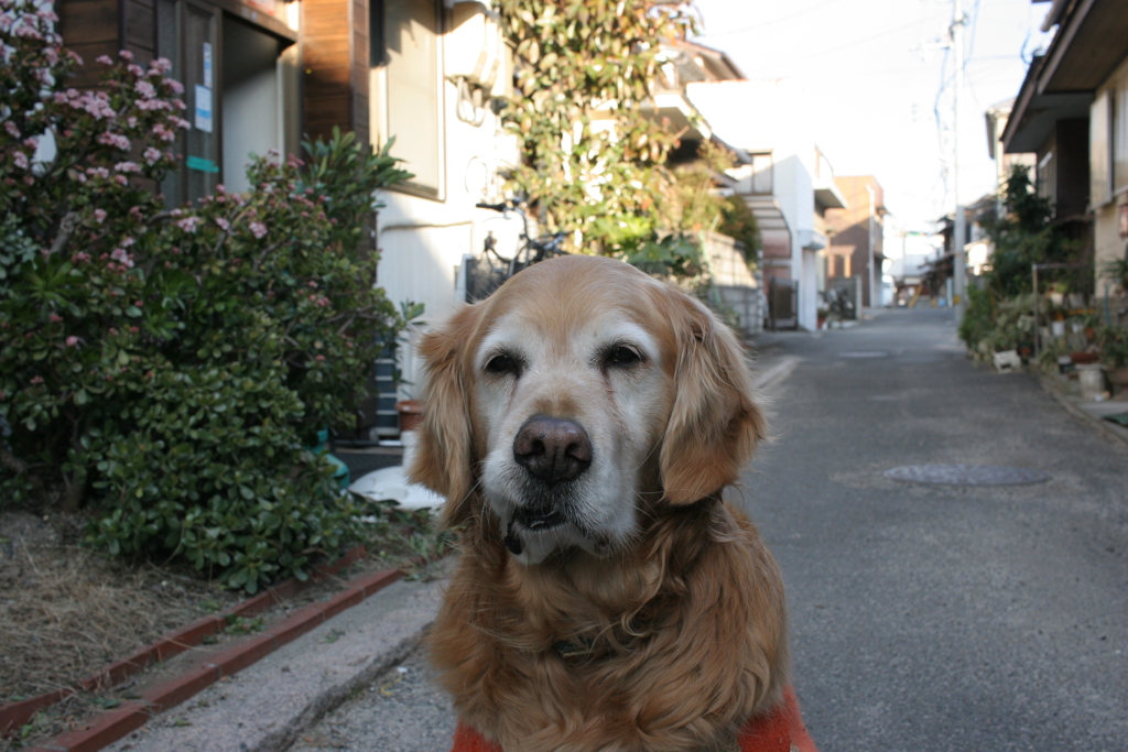@2018-02-12 建国記念日