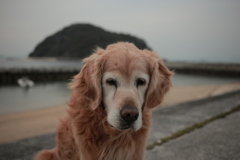 みゅうちゃんと浜に散歩