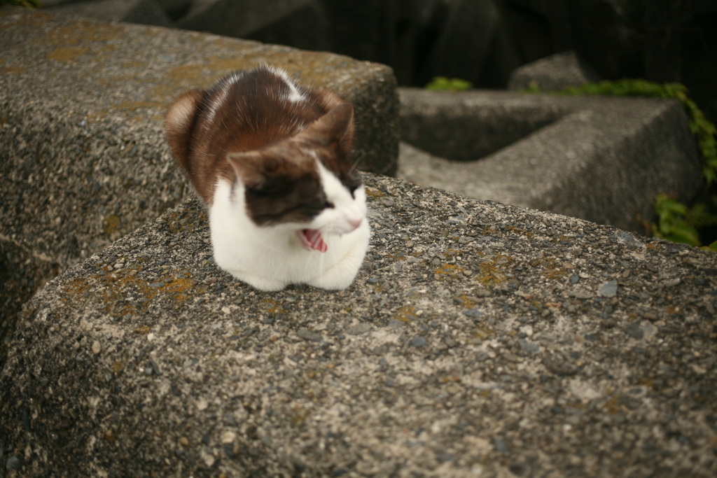 令和初日も平和な一日＠2019-05-01