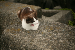 令和初日も平和な一日＠2019-05-01