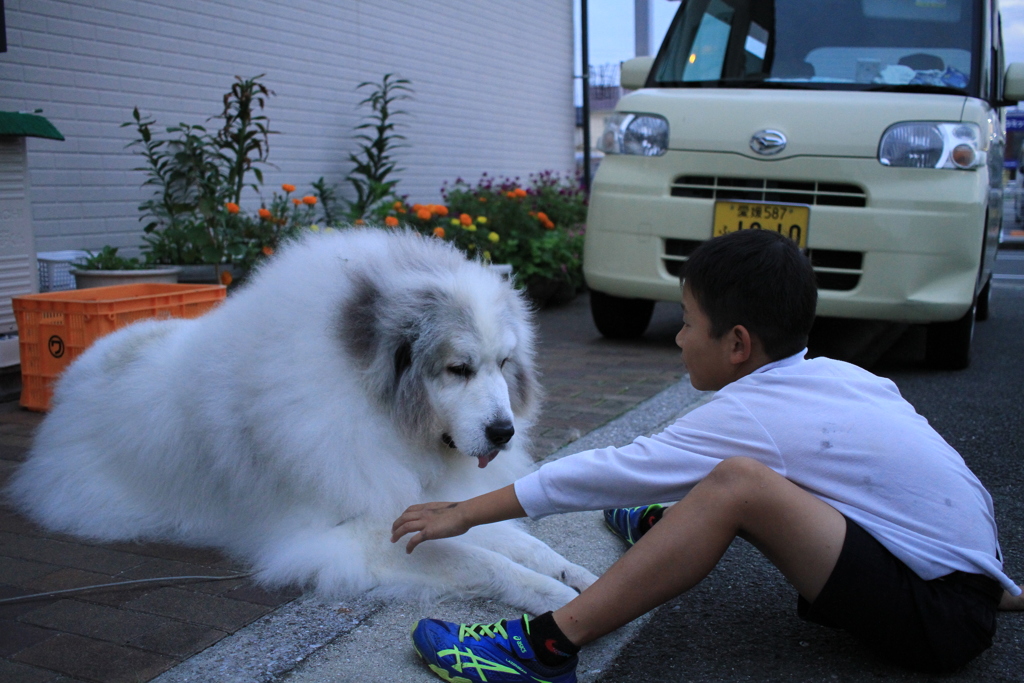ココさんはモテモテ