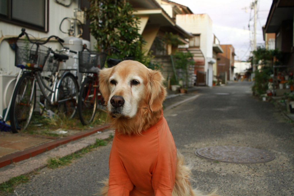 今日も元気なみゅうちゃん