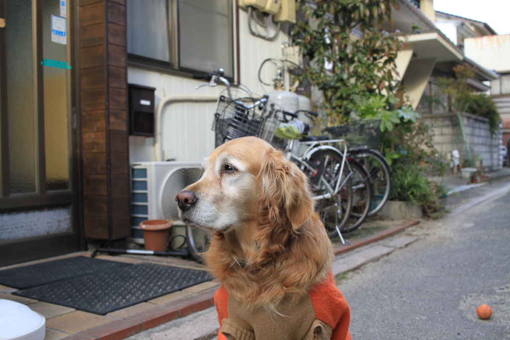 お宿番のみゅうちゃん